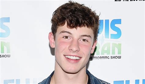 shawn mendes cock|If Shawn Mendes says he’s not gay, he’s not .